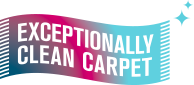 Exceptionally Clean Carpet